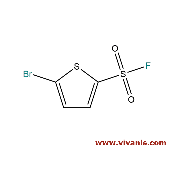 Building Blocks-5-Bromo-2-thiophenesulfonyl fluoride-1655468120.png